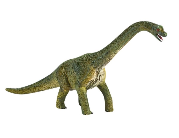 Il Brachiosauro