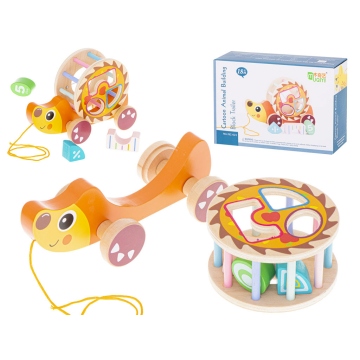 Giochi Trainabili Legno