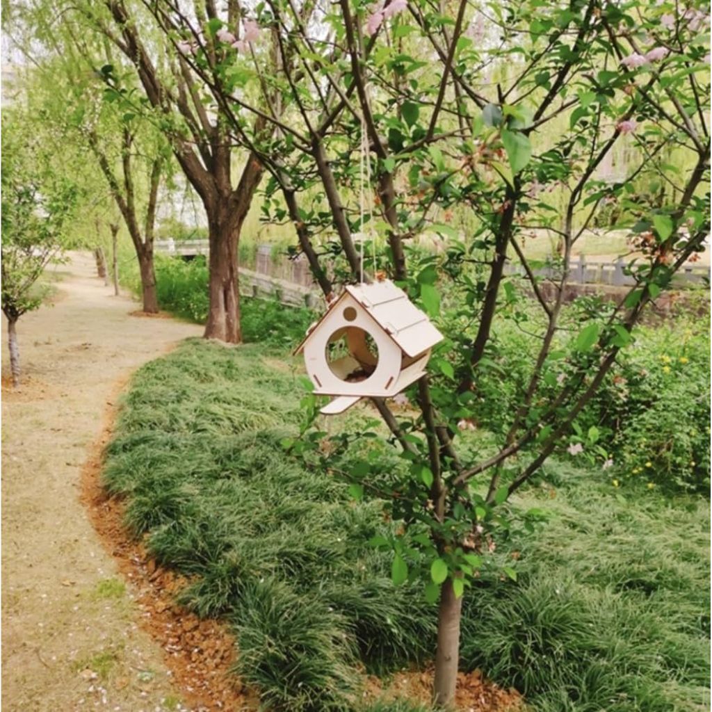 Casetta In Legno Per Uccelli Foto