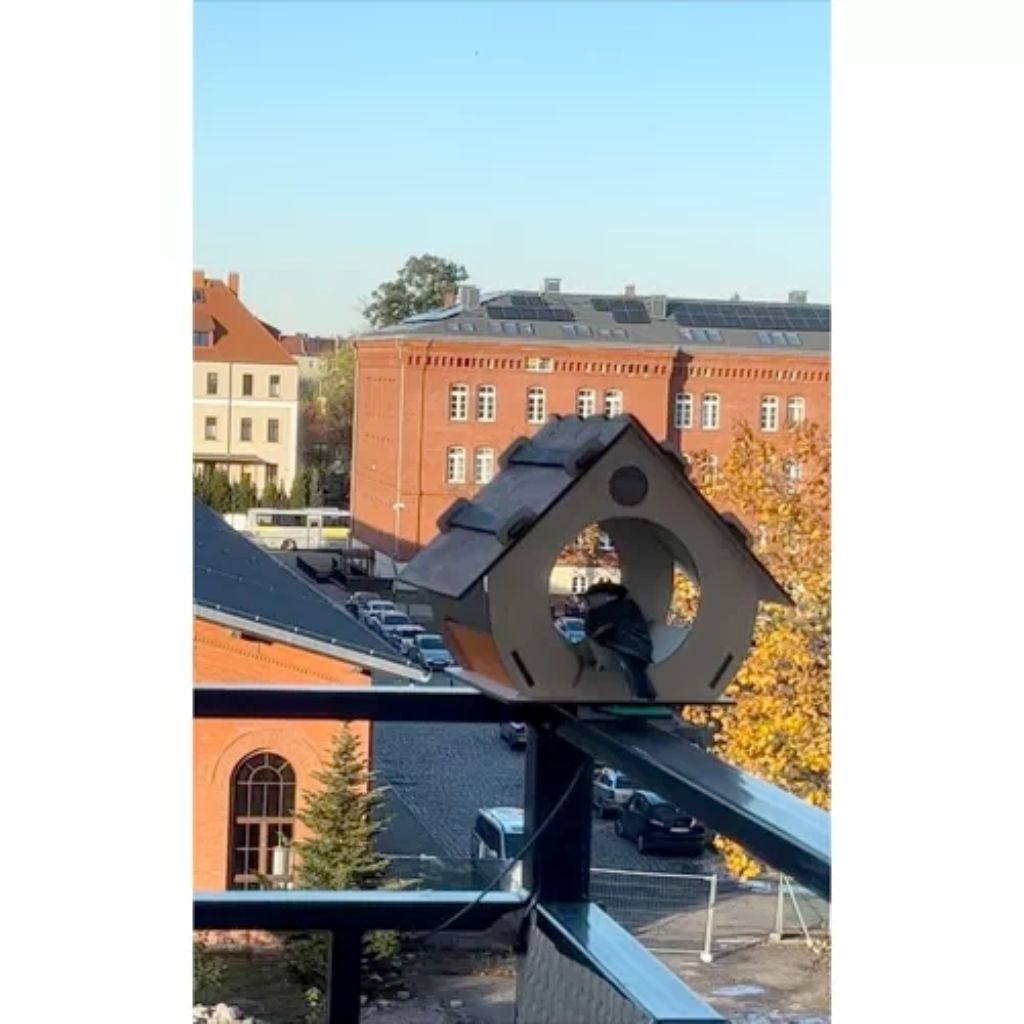 Casetta In Legno Per Uccelli Per Giardino