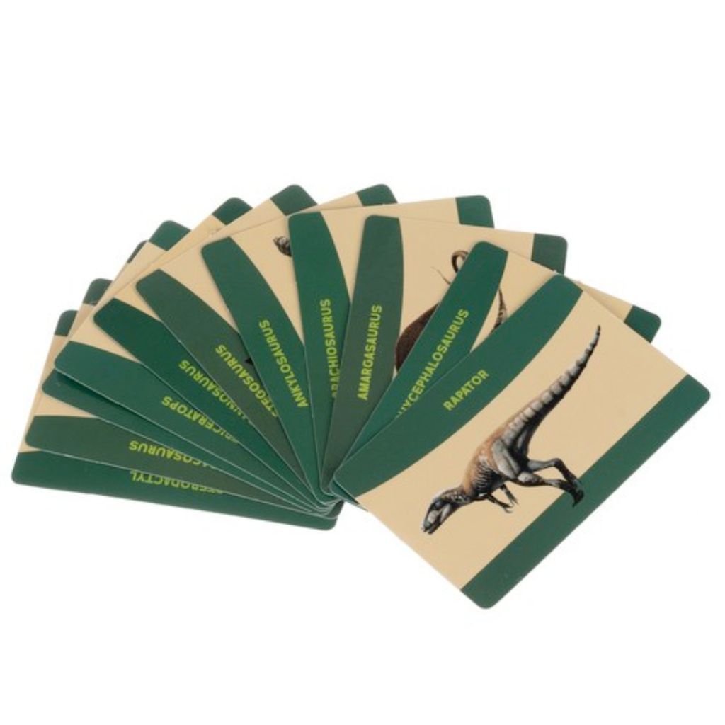 Uova Dinosauri Gioco Carte