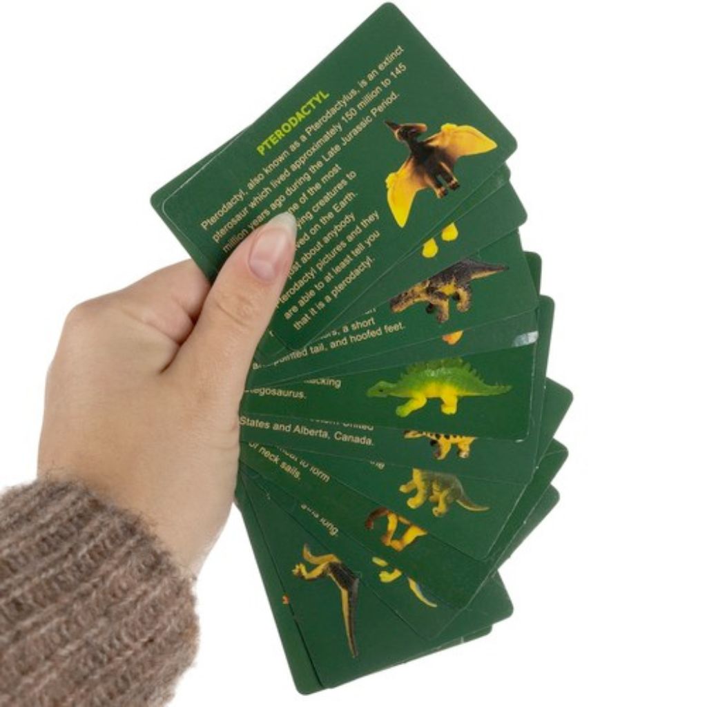 Uova Dinosauri Gioco Con Carte