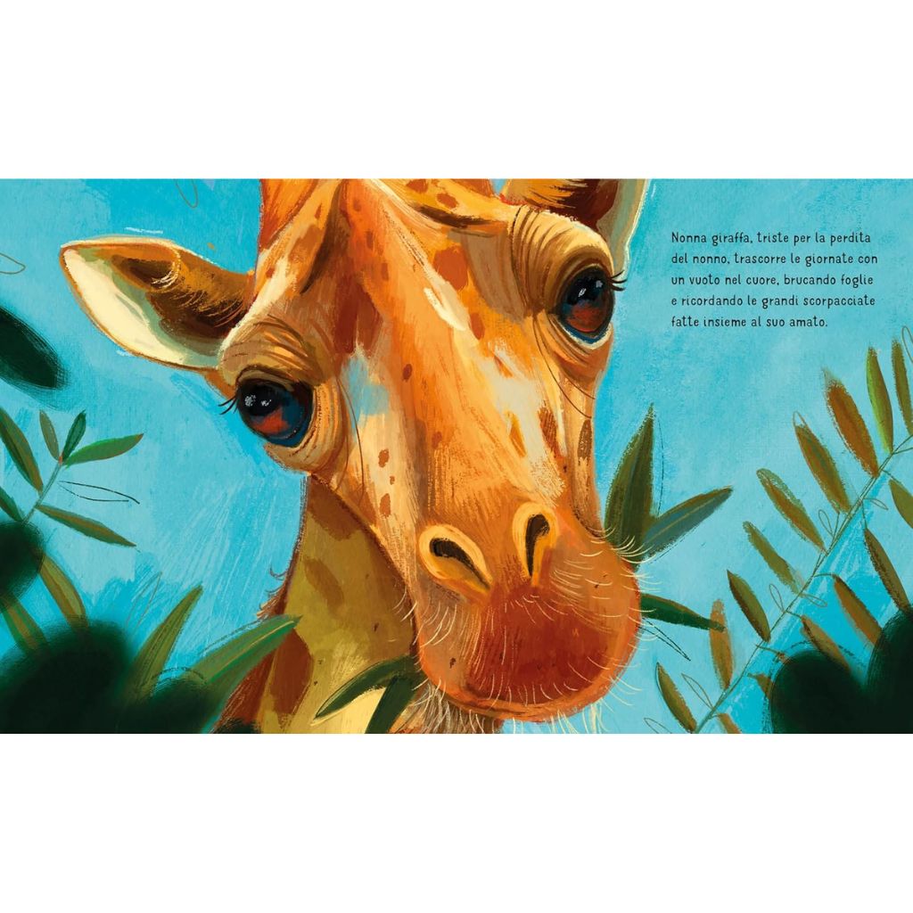 Anche I Nonni Imparano Libro Bambini Sassi