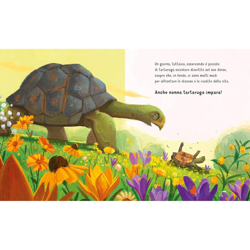 Anche I Nonni Imparano Libro Sassi