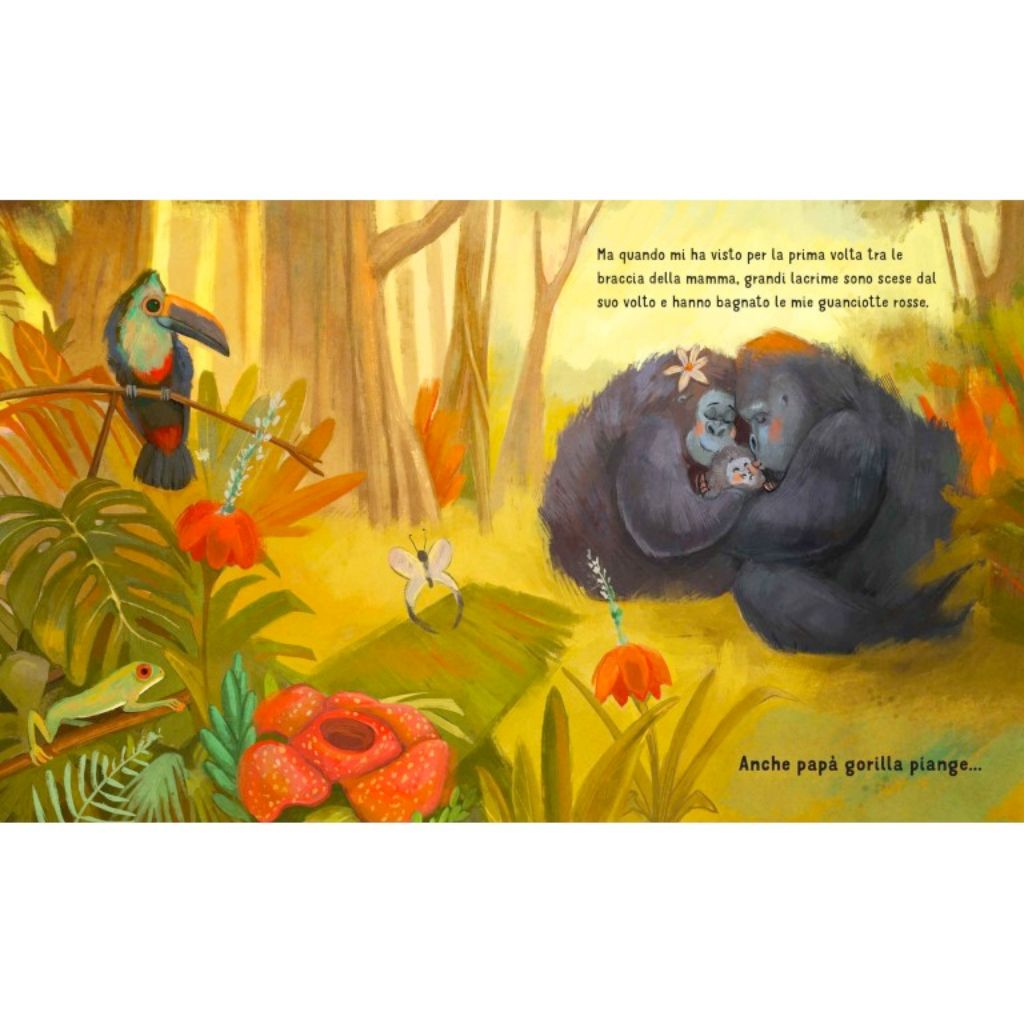 Anche I Papà Piangono Libro Sassi Per Bambini