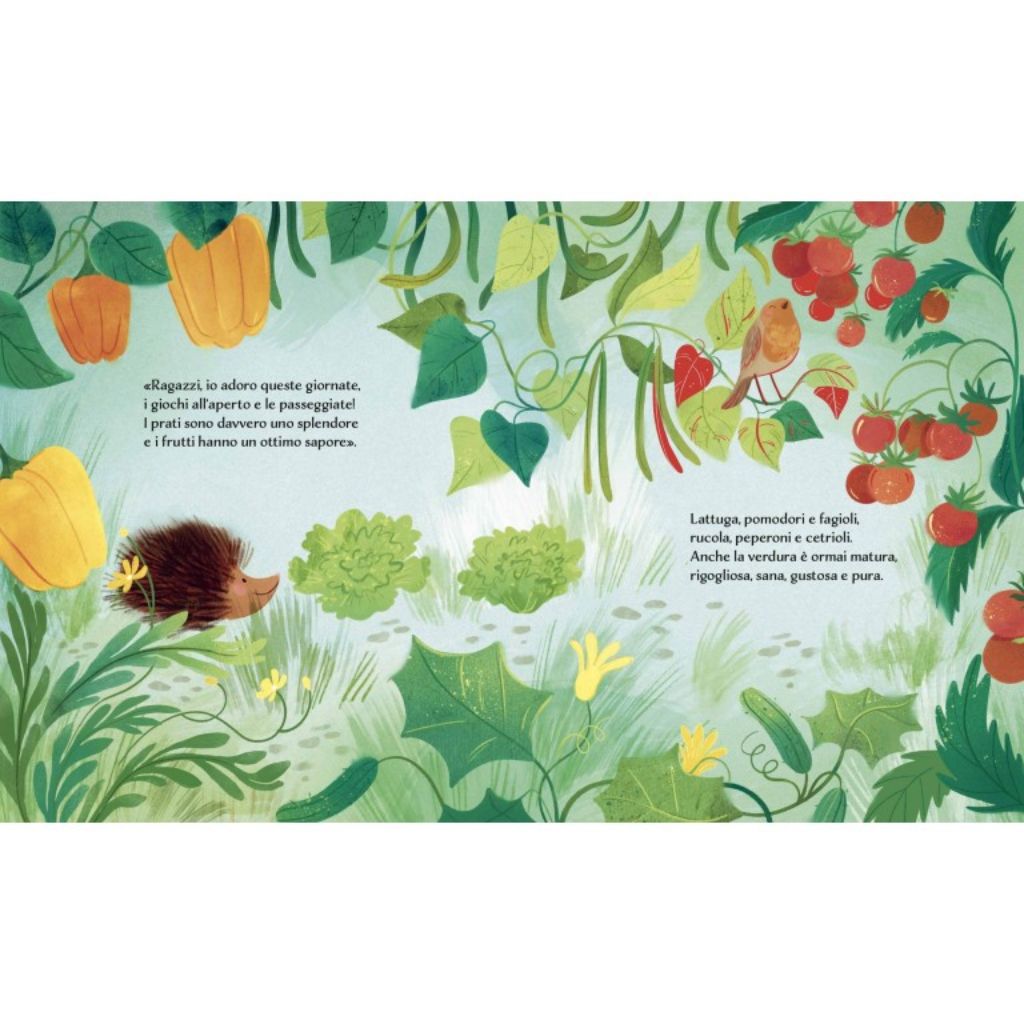 Estate Libro Sassi Per Bambini