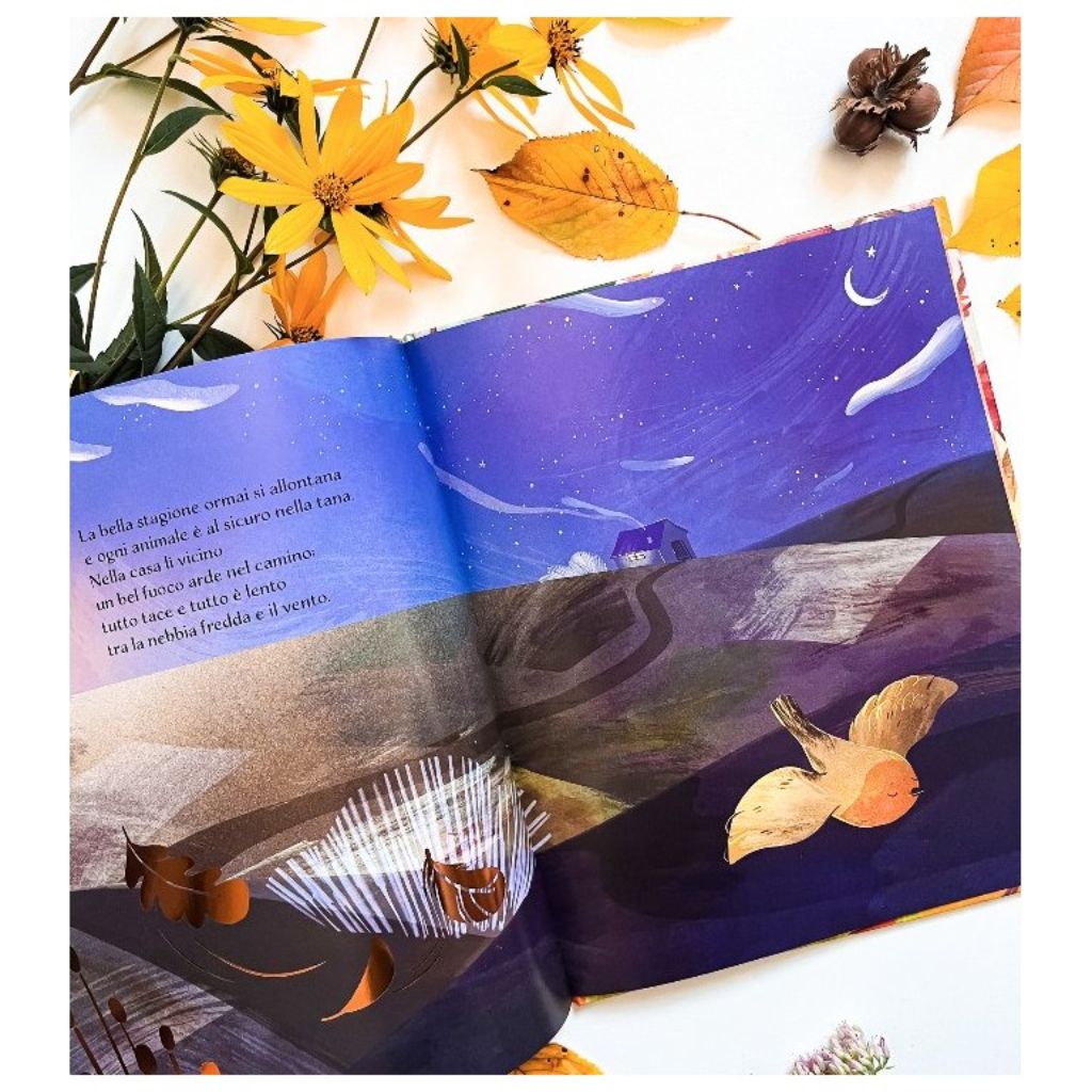 Autunno Libro Per Bambini Sassi