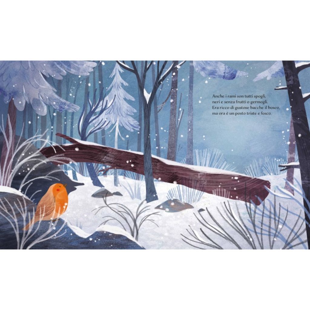 Inverno Libro Sassi Per Bambini