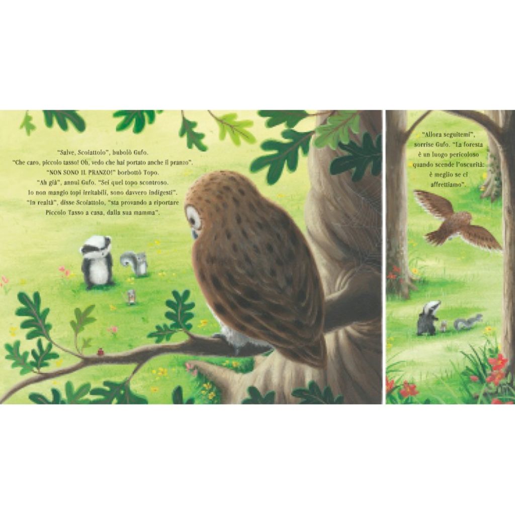 Non Sono Scontroso Libro Bambini