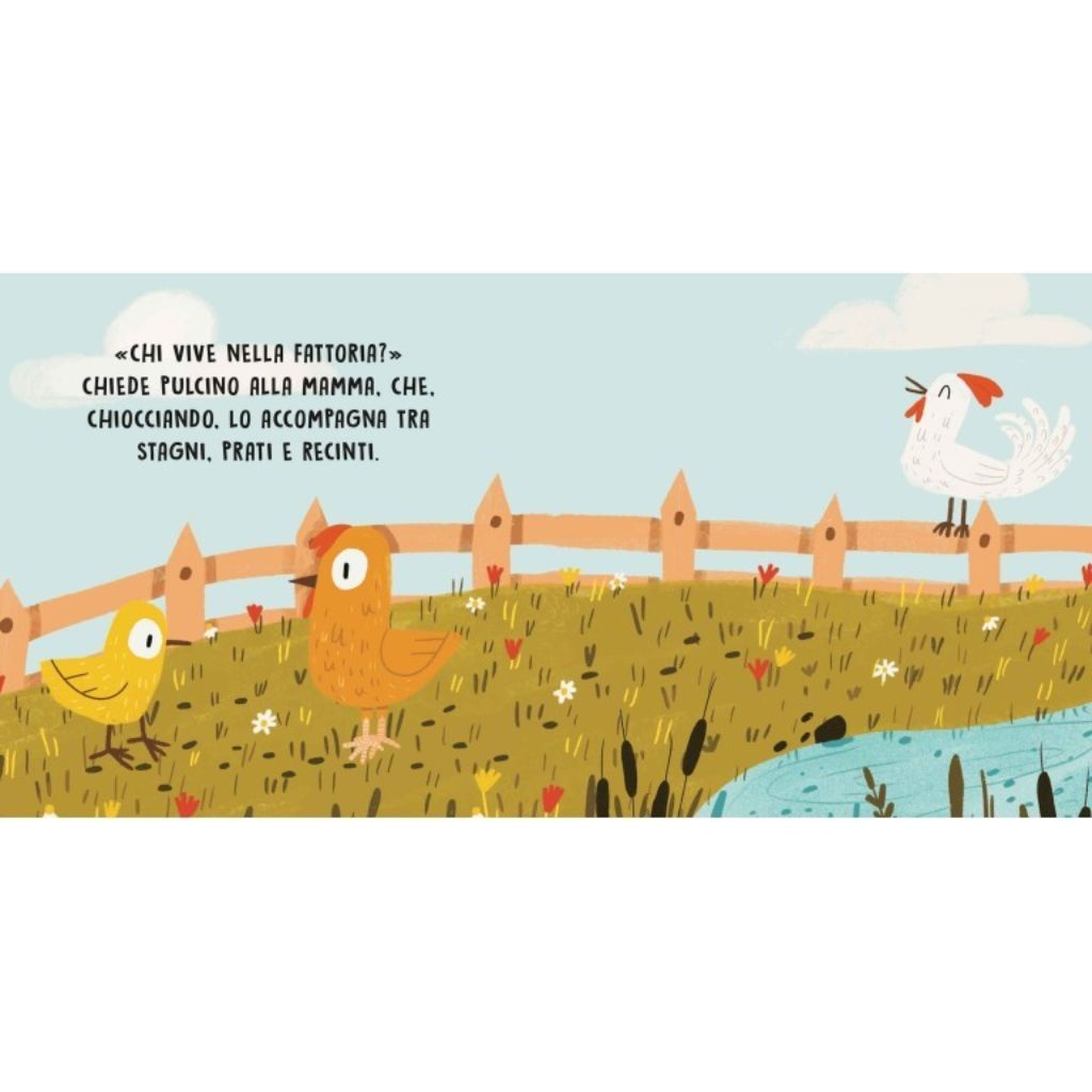 La Fattoria Degli Animali Libro Sassi