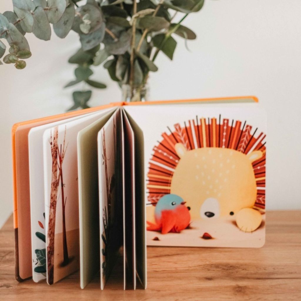 Chompy E Il Coraggio Libro Sassi